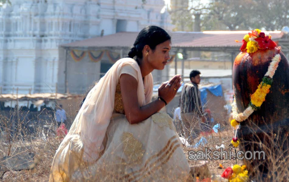 Mahashivratri Celebrations5