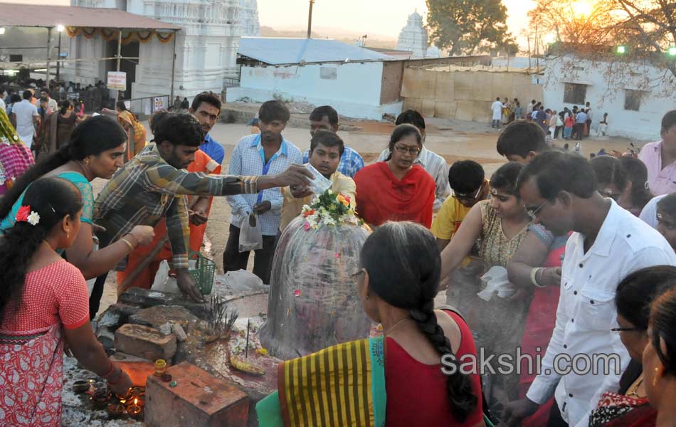 Mahashivratri Celebrations9