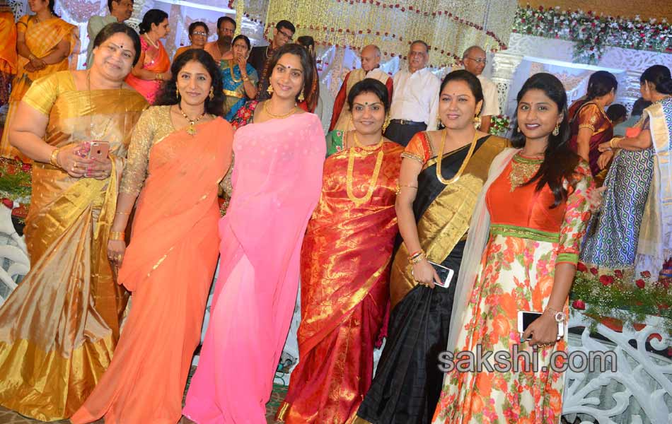 Delhi Rajeswari Son Kalyan Wedding Reception4