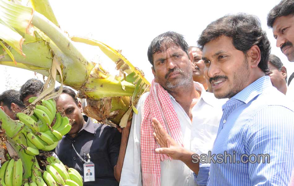 ys jaganmohan reddy tour in  pulivendula - Sakshi1