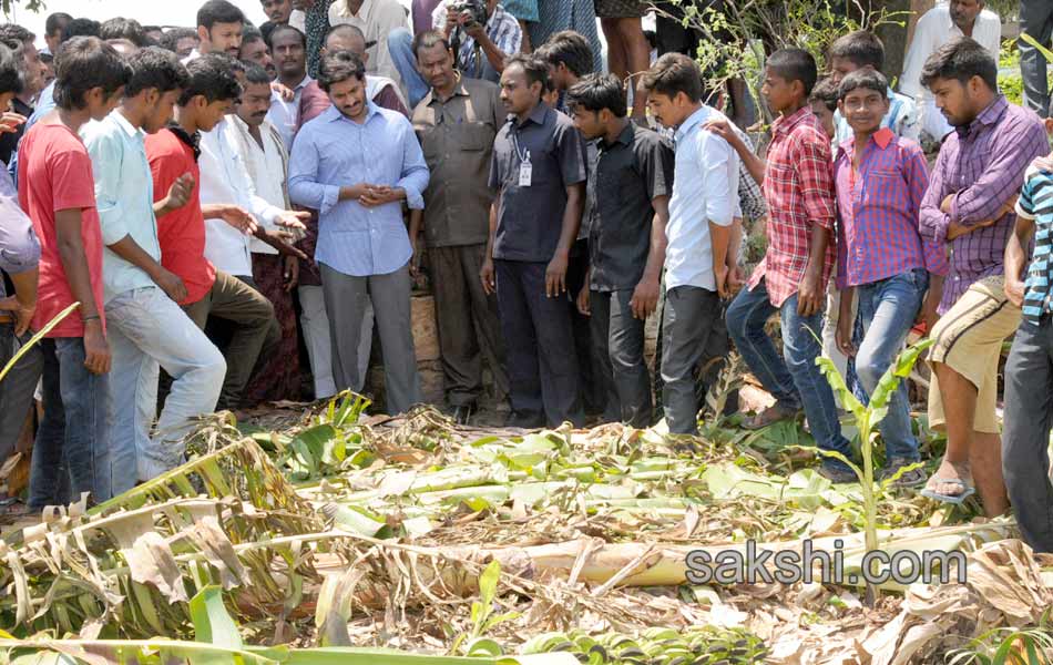 ys jaganmohan reddy tour in  pulivendula - Sakshi11