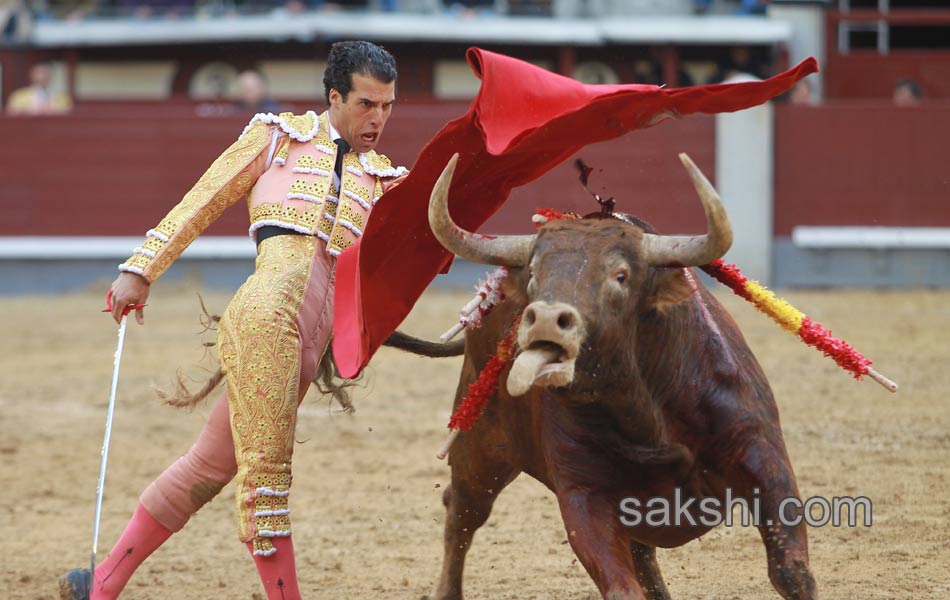 Bull fighting6