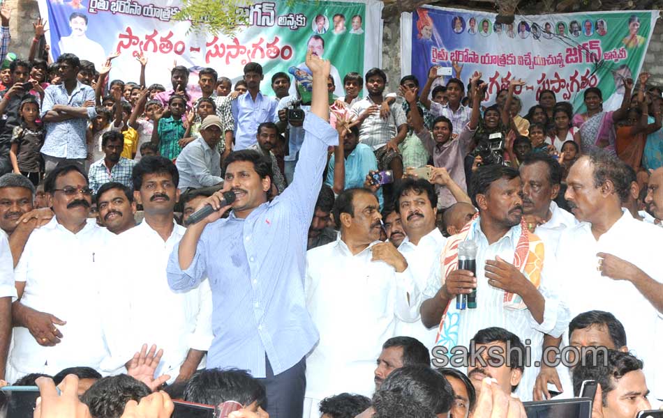 YS Jagan Mohan Reddy  raithu barosa yatra in anantapur district - Sakshi3