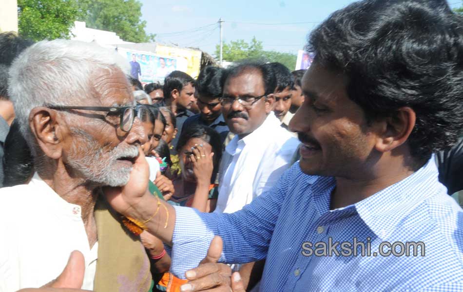 YS Jagan Mohan Reddy  raithu barosa yatra in anantapur district - Sakshi25