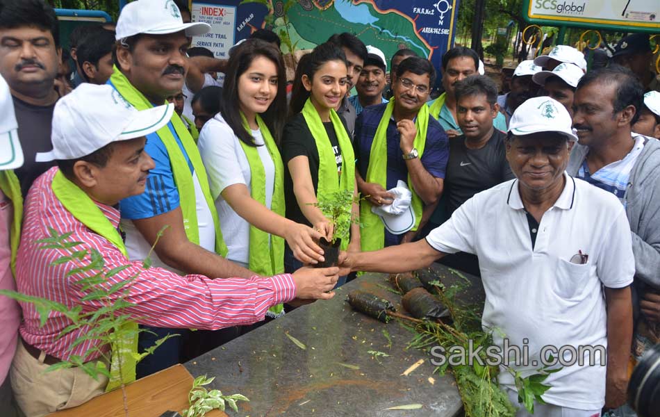 tollywood actors and actresses participate in telangana haritha haaram - Sakshi1