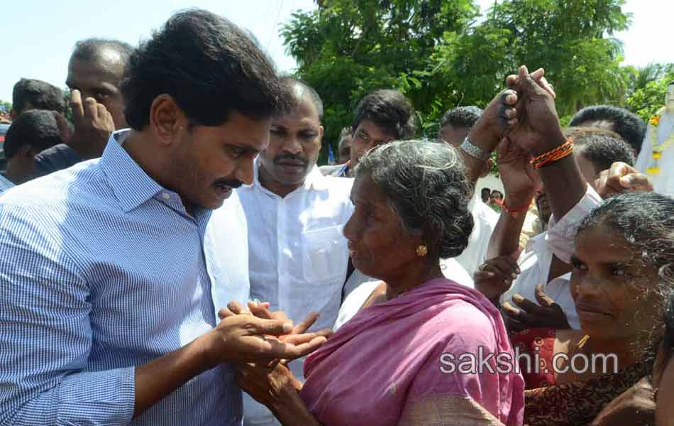 ysjagan mohan reddy tour in west godavar - Sakshi4