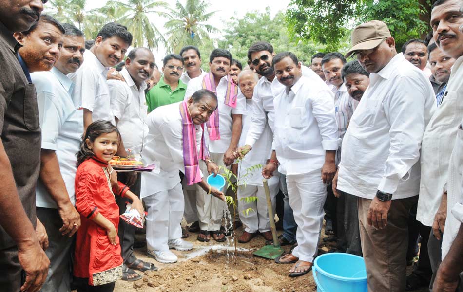 Haritha haram in nalgonda dist - Sakshi1