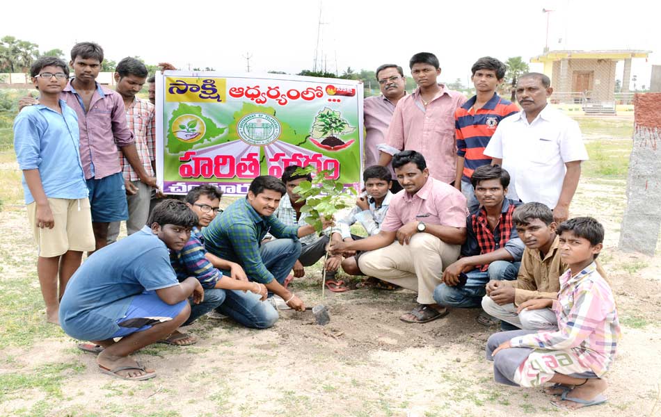 Haritha haram in nalgonda dist - Sakshi3