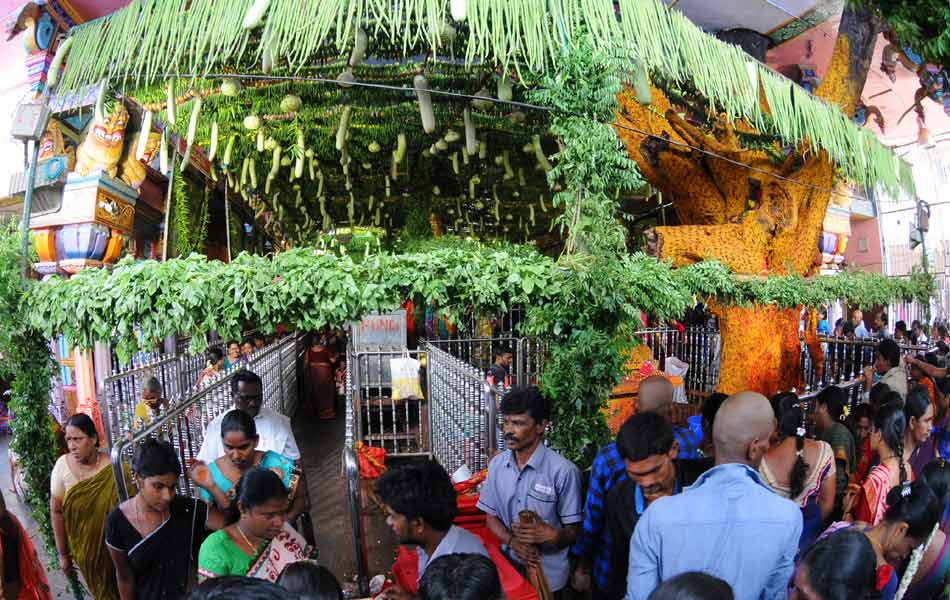 sakambari festival at indrakeladri6