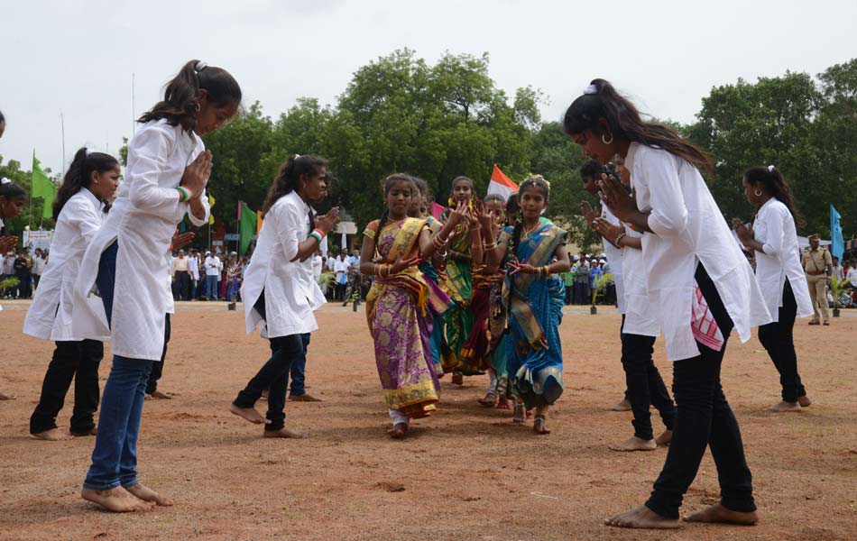 national flag celebrate - Sakshi19