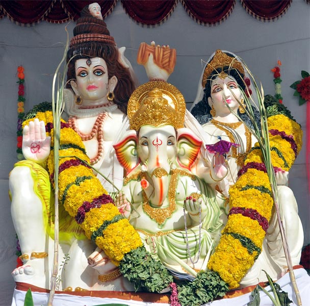 Ganesh Chaturdhi in Nellore - Sakshi10