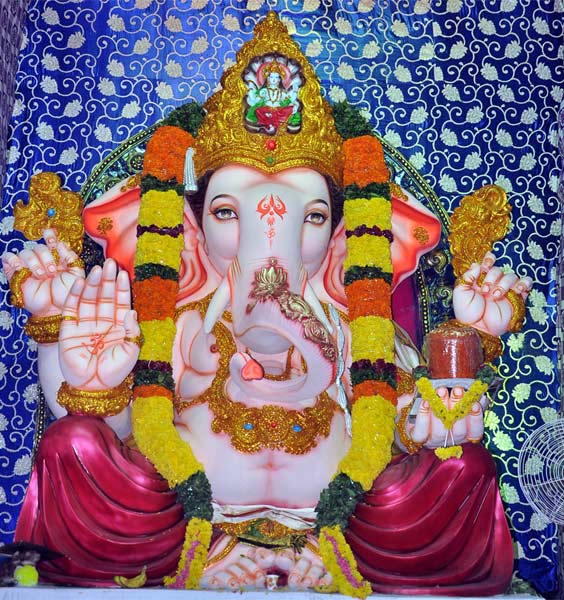 Ganesh Chaturdhi in Nellore - Sakshi13