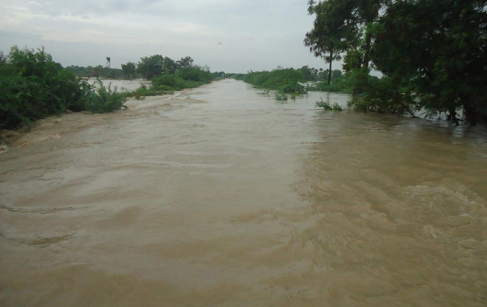 heavy rains in guntur district - Sakshi12