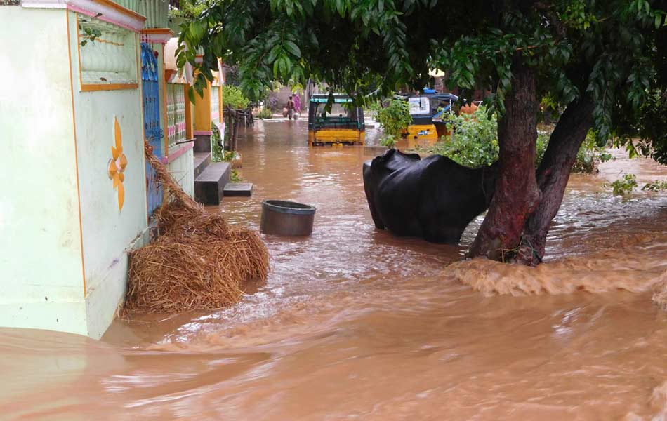 FLOOD IN EAST GODAVARI - Sakshi16