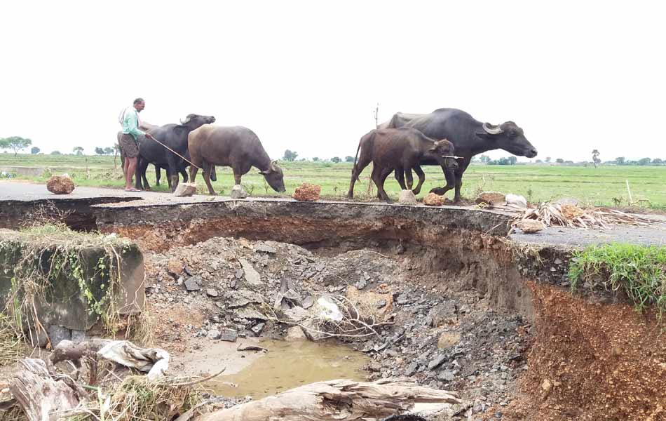 Roads destroyed - Sakshi9