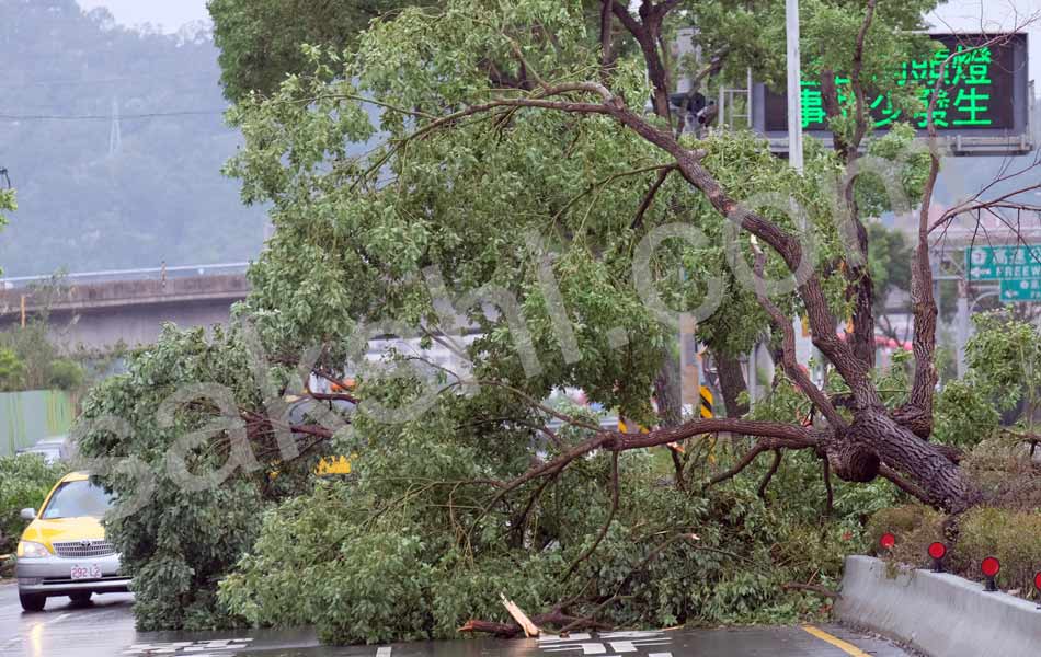 powerful typhoon chaba barrels toward japan12