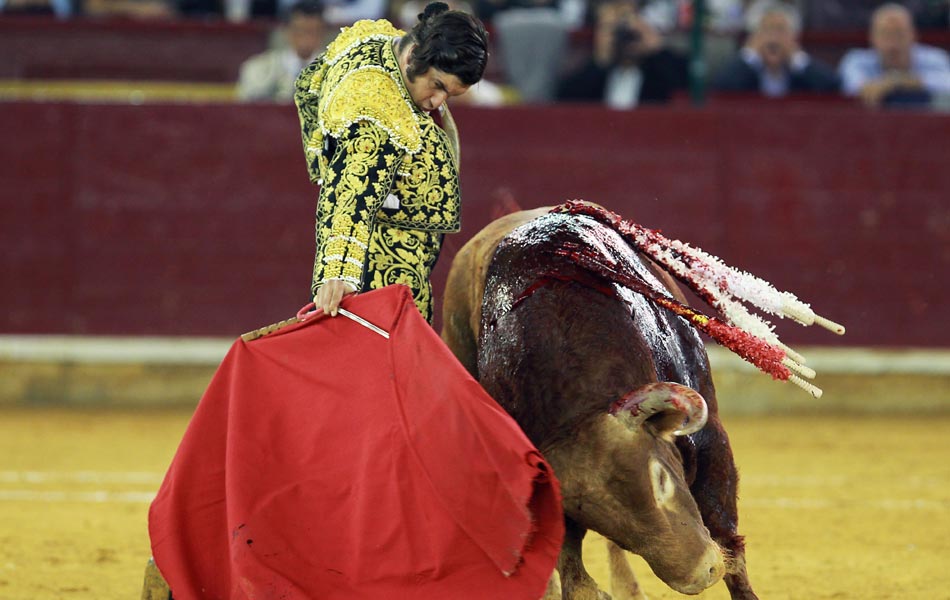 Bull fight festival in spain - Sakshi6