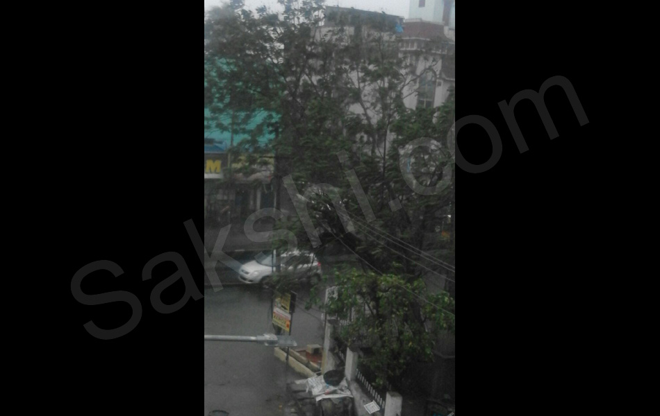 tamil nadu vardah cyclone8