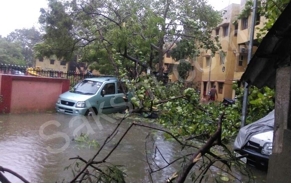 tamil nadu vardah cyclone24