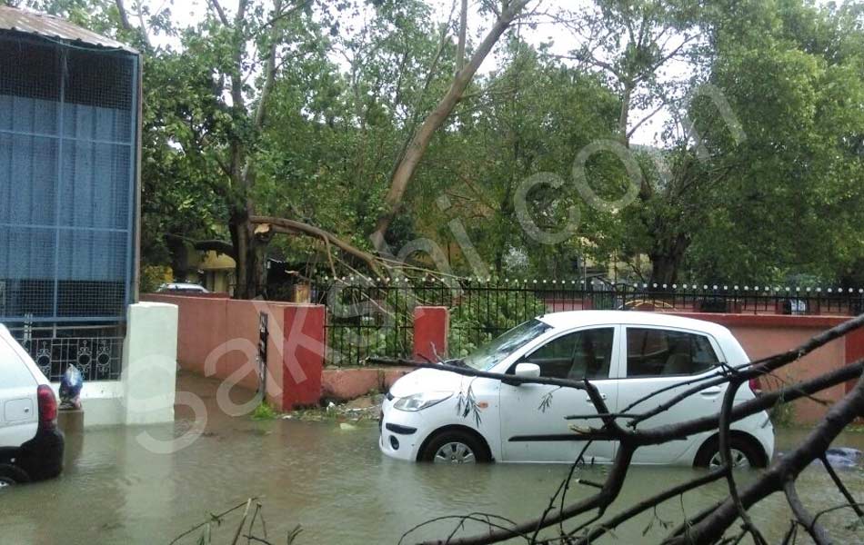 tamil nadu vardah cyclone25