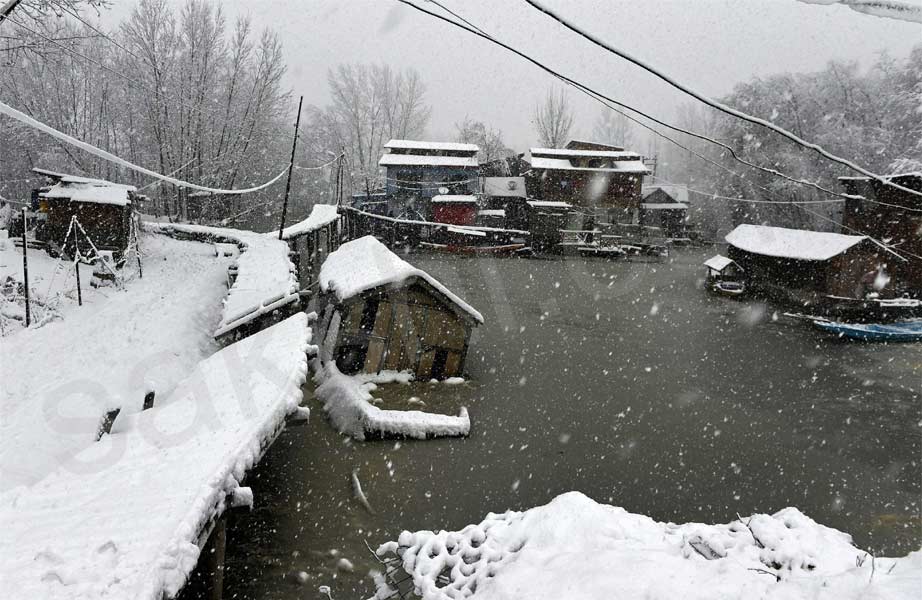 snowfall at North India attracts tourists34