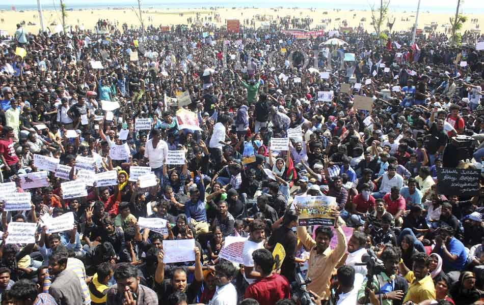 jallikattu in tamil nadu9