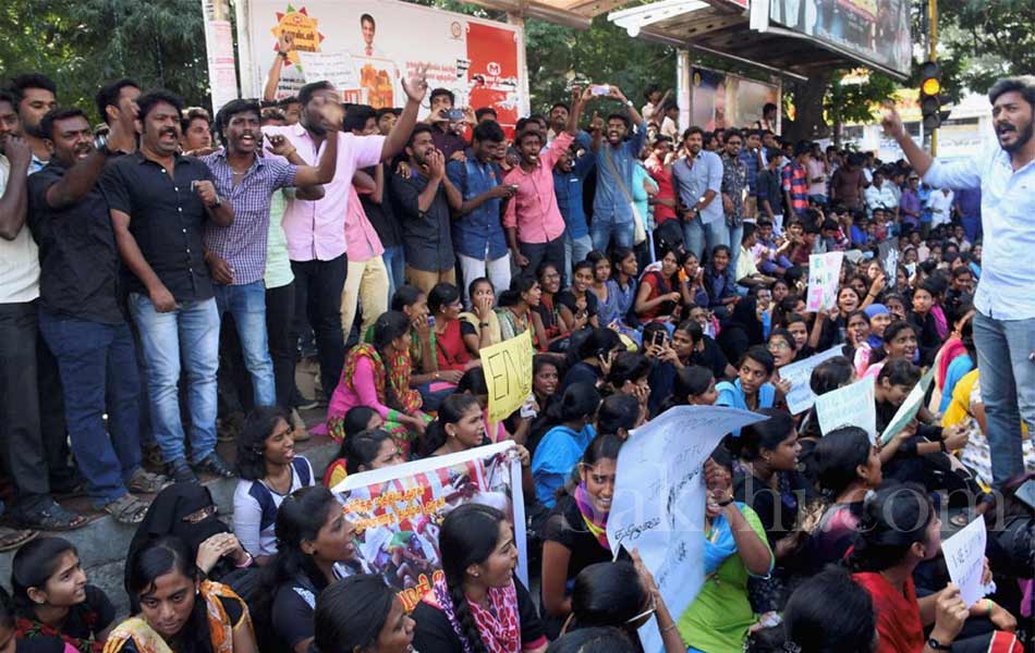 jallikattu in tamil nadu16