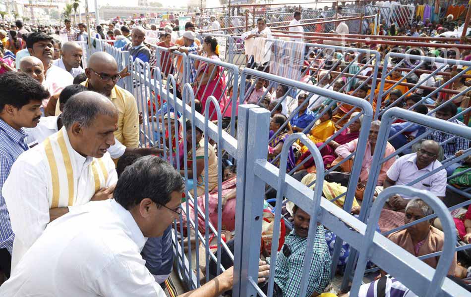 rathasapthami in tirumala19