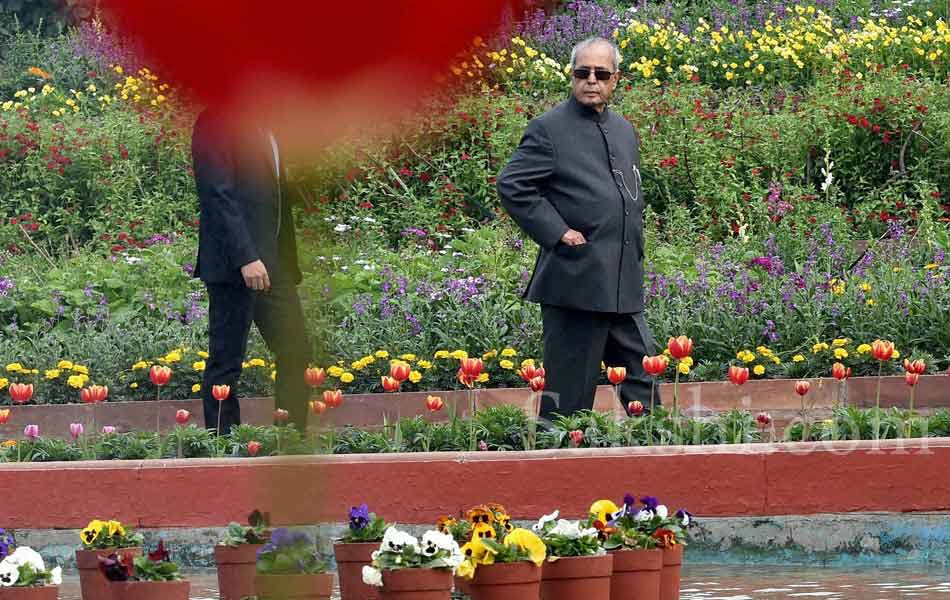 Mughal Gardens at Rashtrapati Bhavan11