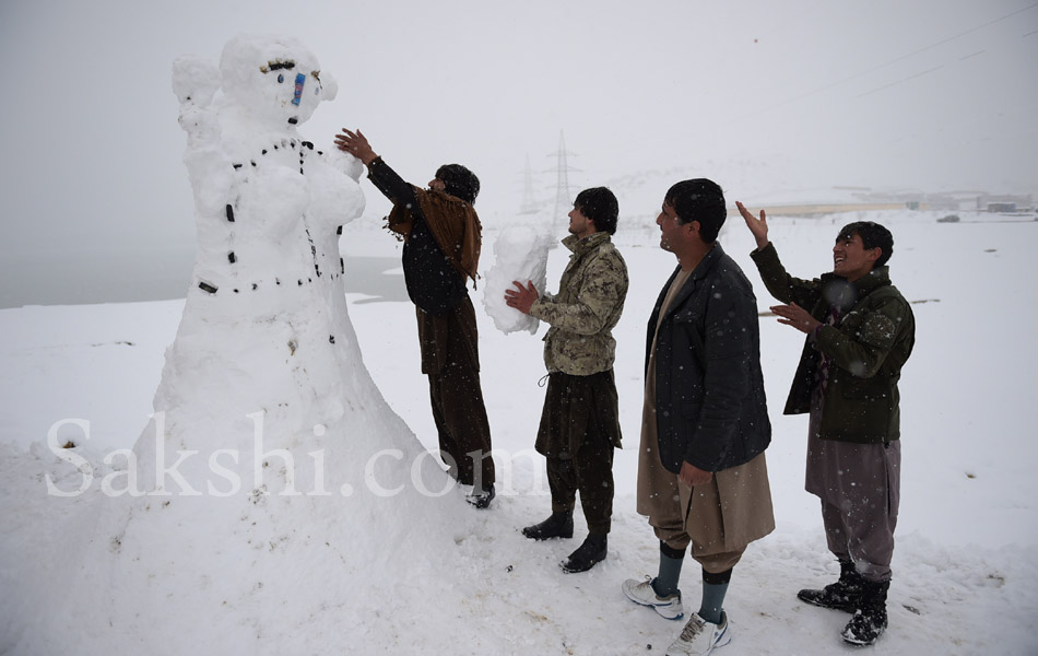 snow laden trees in Kabul1