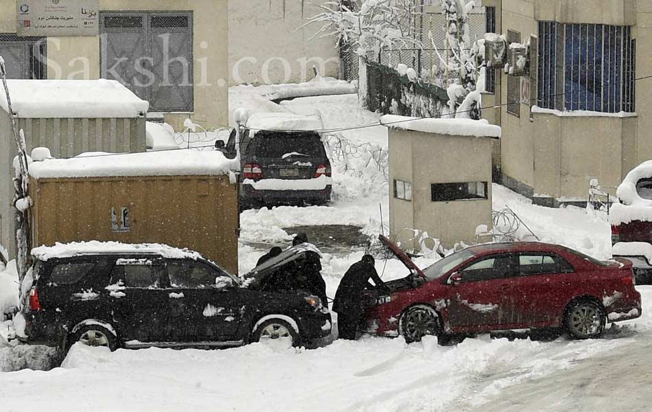 snow laden trees in Kabul2