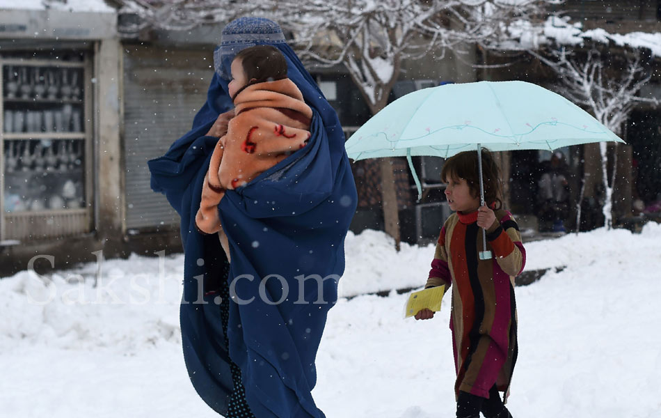 snow laden trees in Kabul8