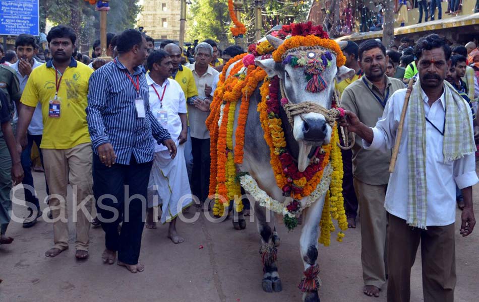 srisailam in mahas shivaratri - Sakshi14