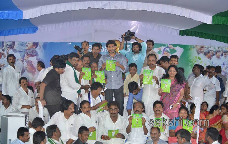 YS Jagan Mohan Reddy kickstarts Rythu deeksha in guntur - Sakshi5