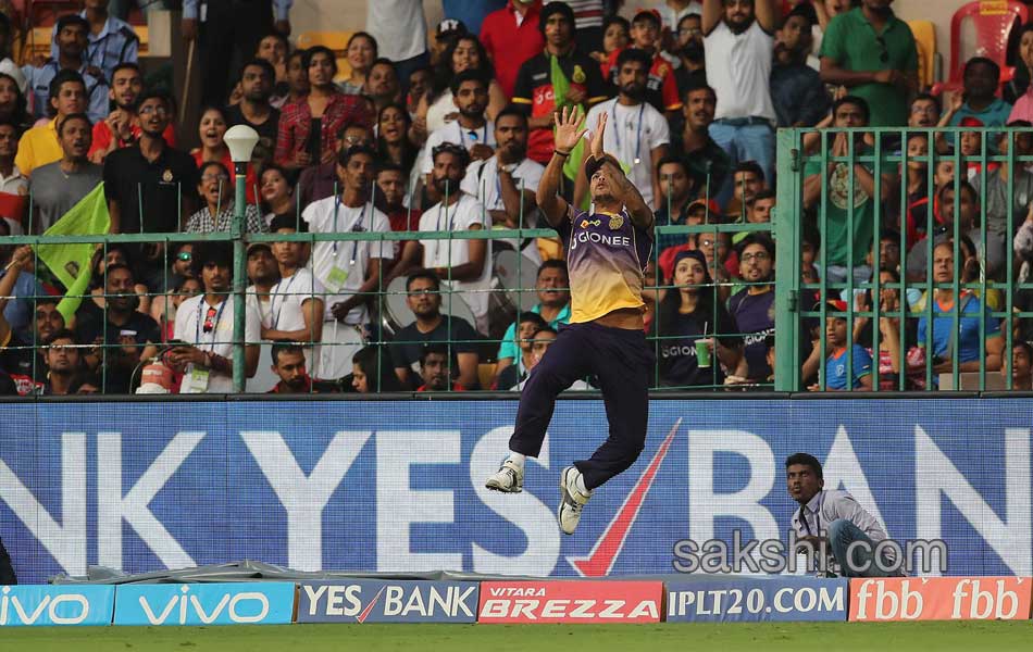 kkr beats rcb by 6 wickets26