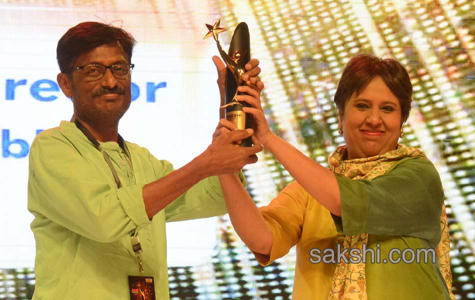 Sakshi Excellence Awards Ceremony   201727