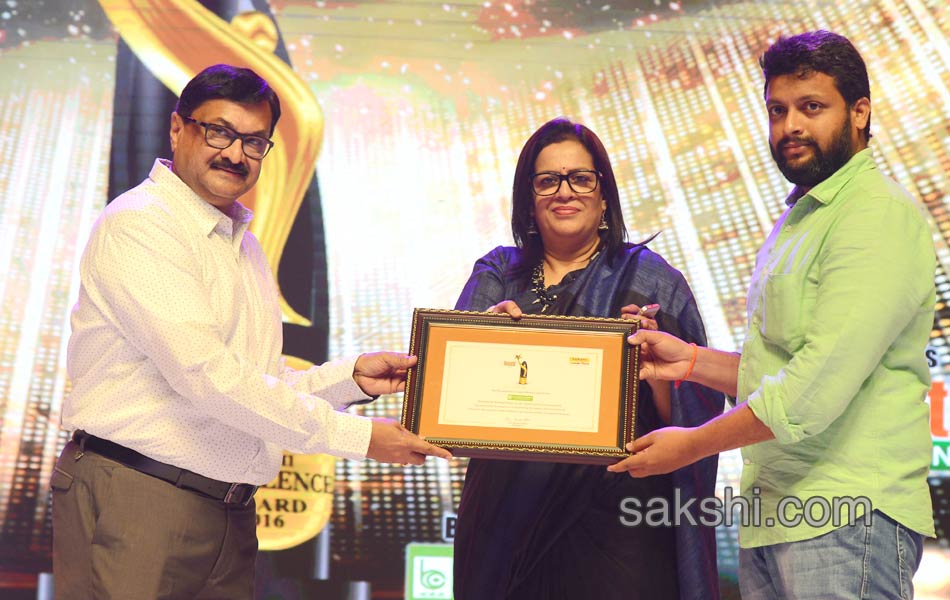 Sakshi Excellence Awards Ceremony   201732