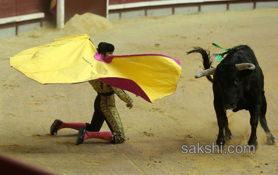 bull fight in spanish - Sakshi3