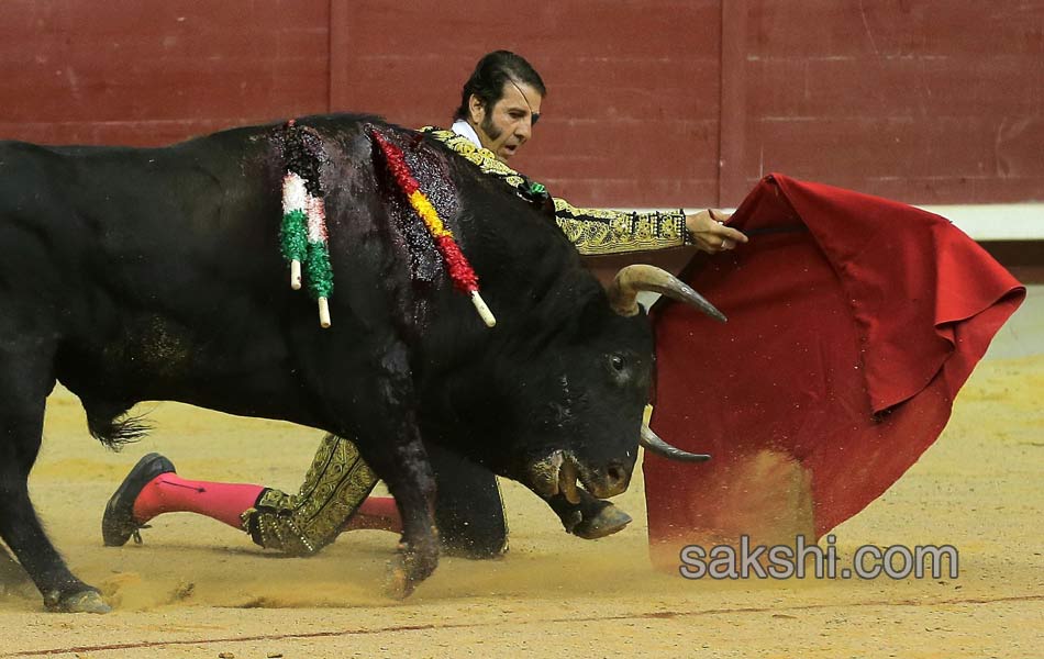 bull fight in spanish - Sakshi8