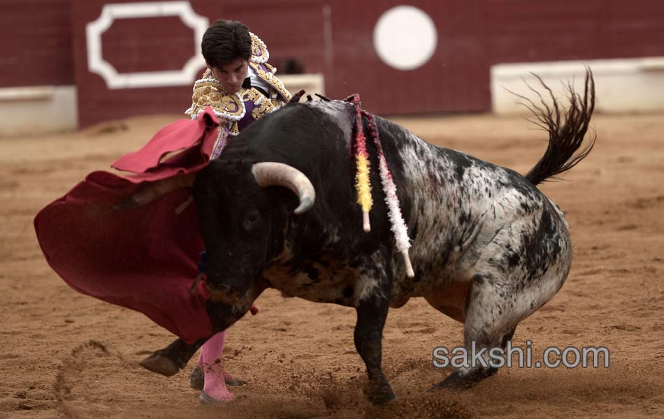 bull fight in spanish - Sakshi9