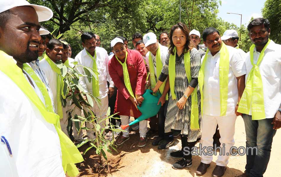 Mithali Raj participate Haritha Haram in lb stadium5