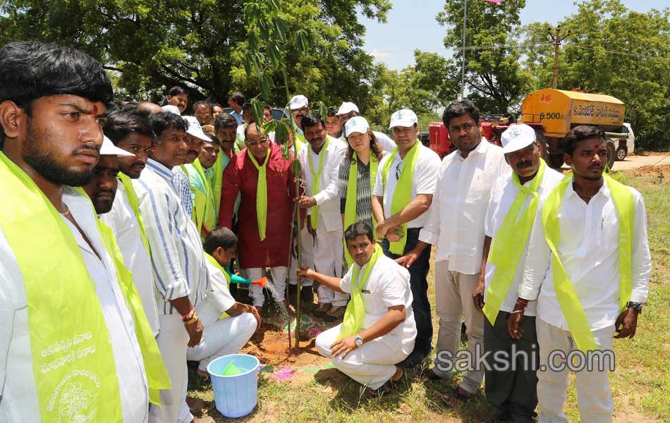 Mithali Raj participate Haritha Haram in lb stadium6