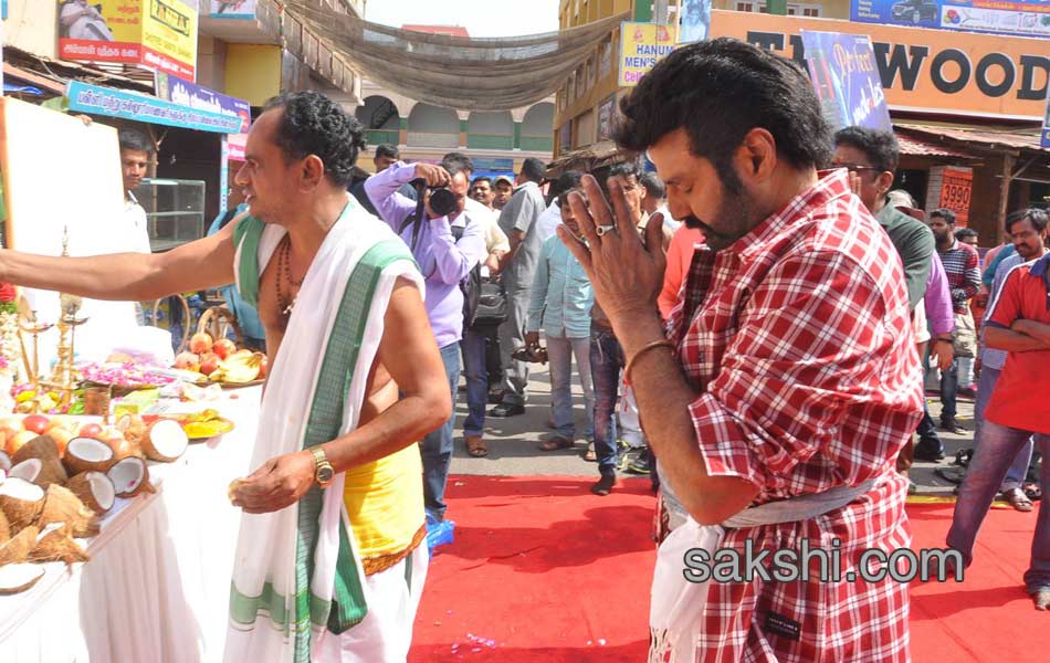 bala krishna new movie opening5