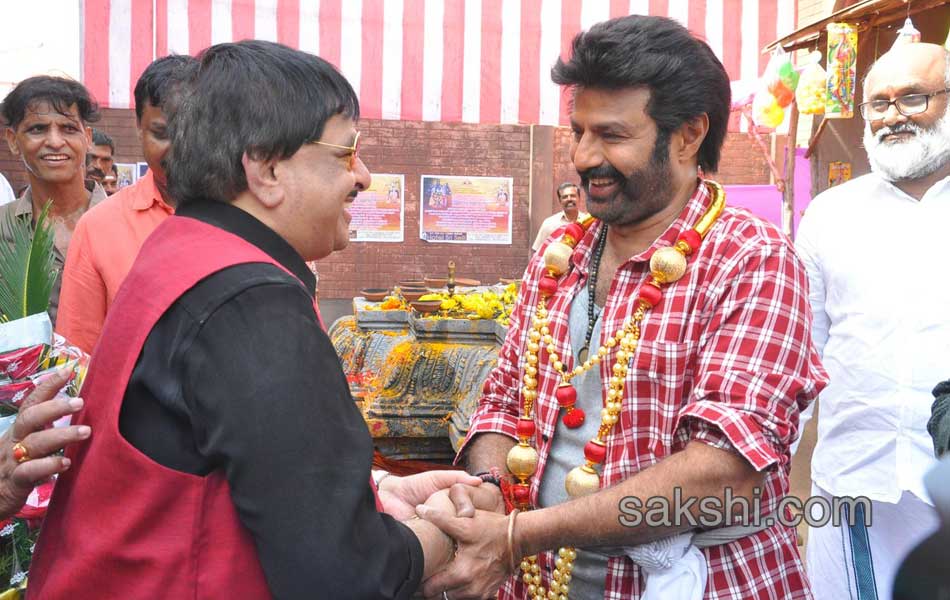 bala krishna new movie opening12