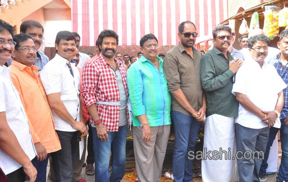 bala krishna new movie opening13