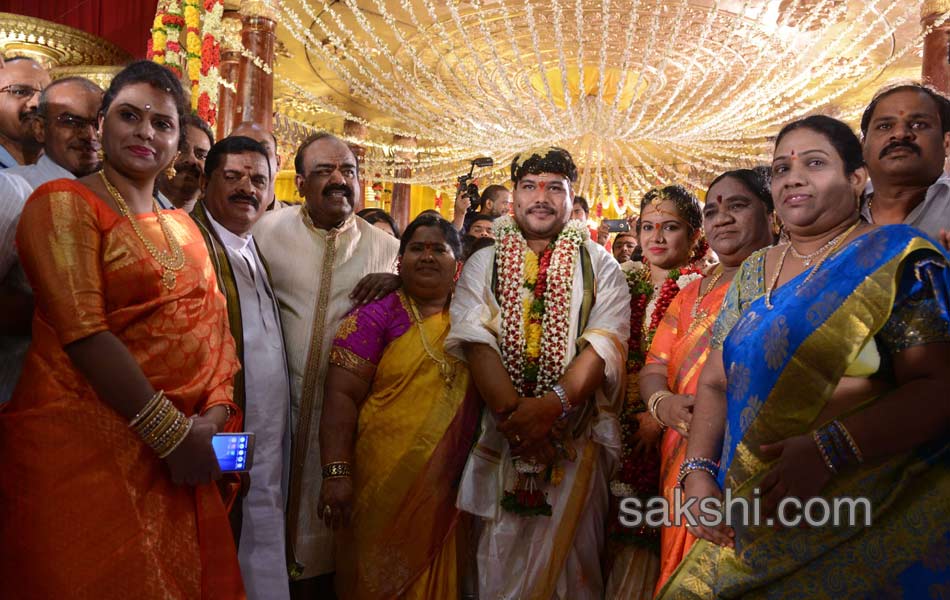 speaker madhusudhana chary son marriage7