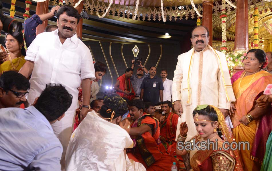 speaker madhusudhana chary son marriage10