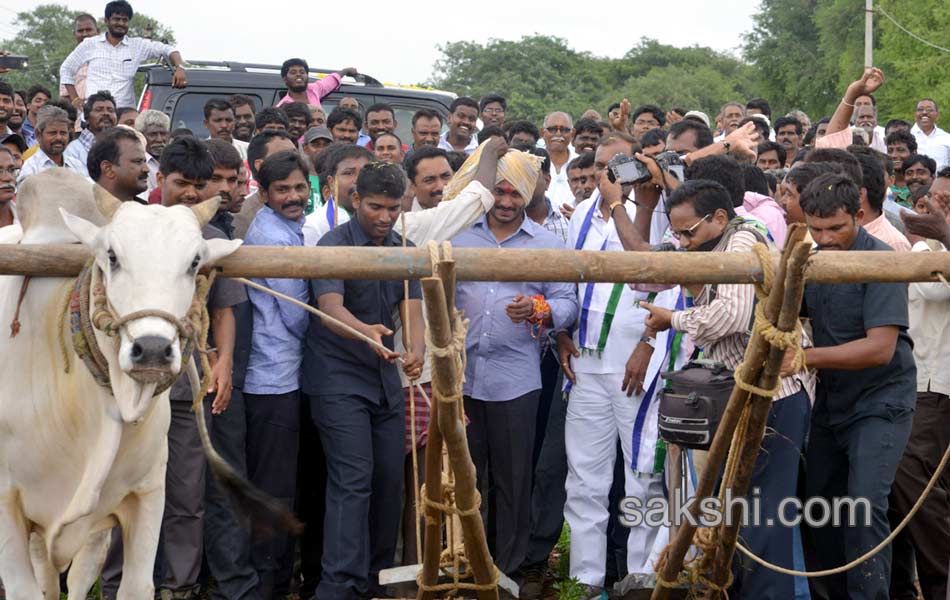 YS Jagan Tour in Nandyala - Sakshi42