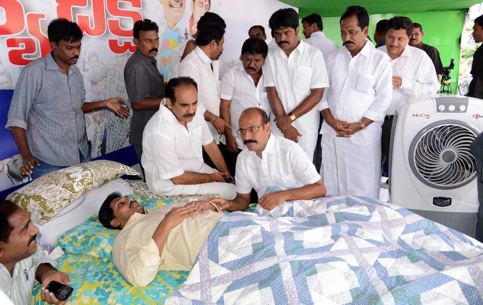 ys jagan takes up fasting for united state - Sakshi8