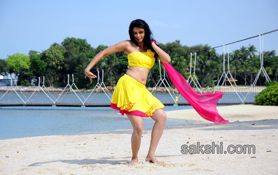 Veediki Dookudu Ekkuva Movie Stills12